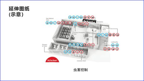 優化食品衛生管理 從規劃到執行的系統性設計